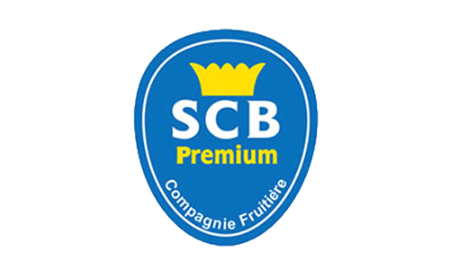 SCB